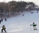 沈阳火车北站到东北亚滑雪场