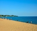 免费看大海景点-营口海滨浴场往返车票100元